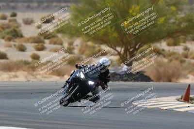 media/Apr-10-2022-SoCal Trackdays (Sun) [[f104b12566]]/Turn 5 Tree of Life (1040am)/